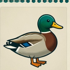 Mallard